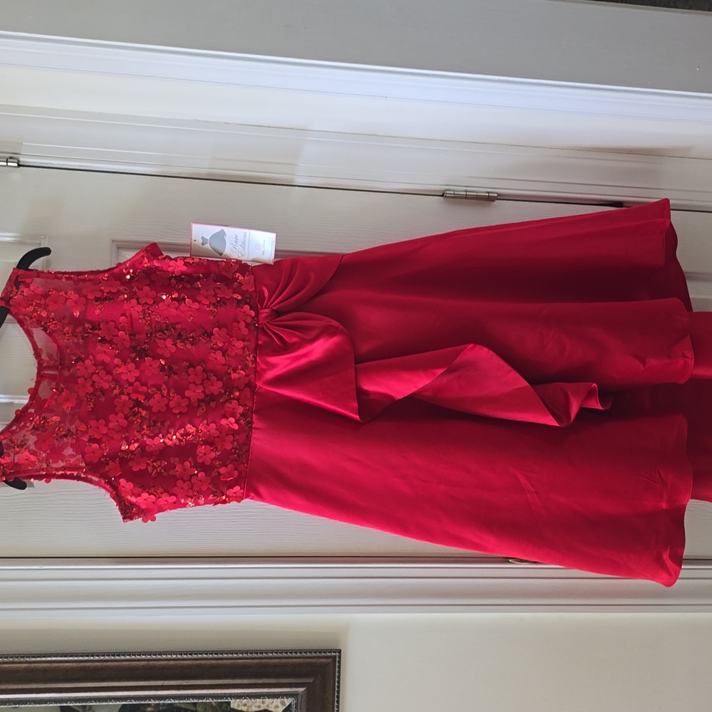RARE EDITIONS BRAND GIRL'S BEAUTIFUL SLEEVELESS RED FANCY PARTY DRESS SIZE 16.5